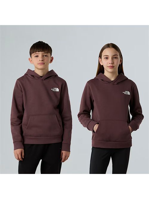 Felpa con cappuccio Simple Dome da ragazzi THE NORTH FACE | NF0A8AXV/BQ71